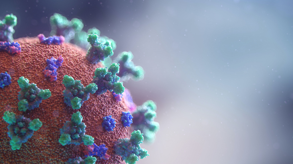 Image of the coronavirus by Fusion Medican Animation
