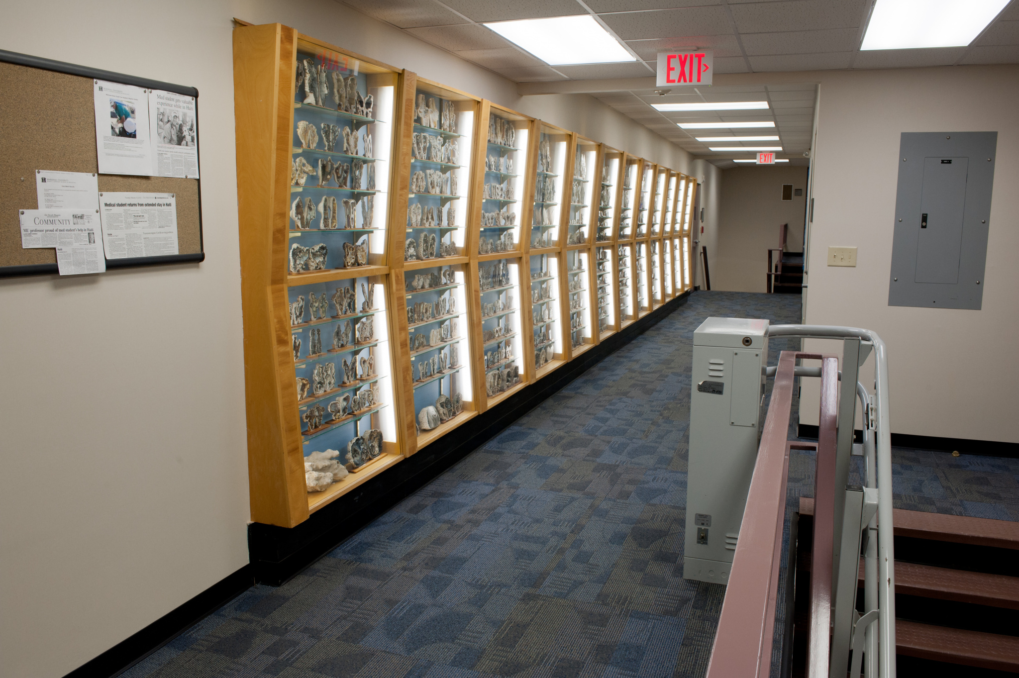 The hallways of the science building are lined with collections from donors (Photo by Dan Calnon)