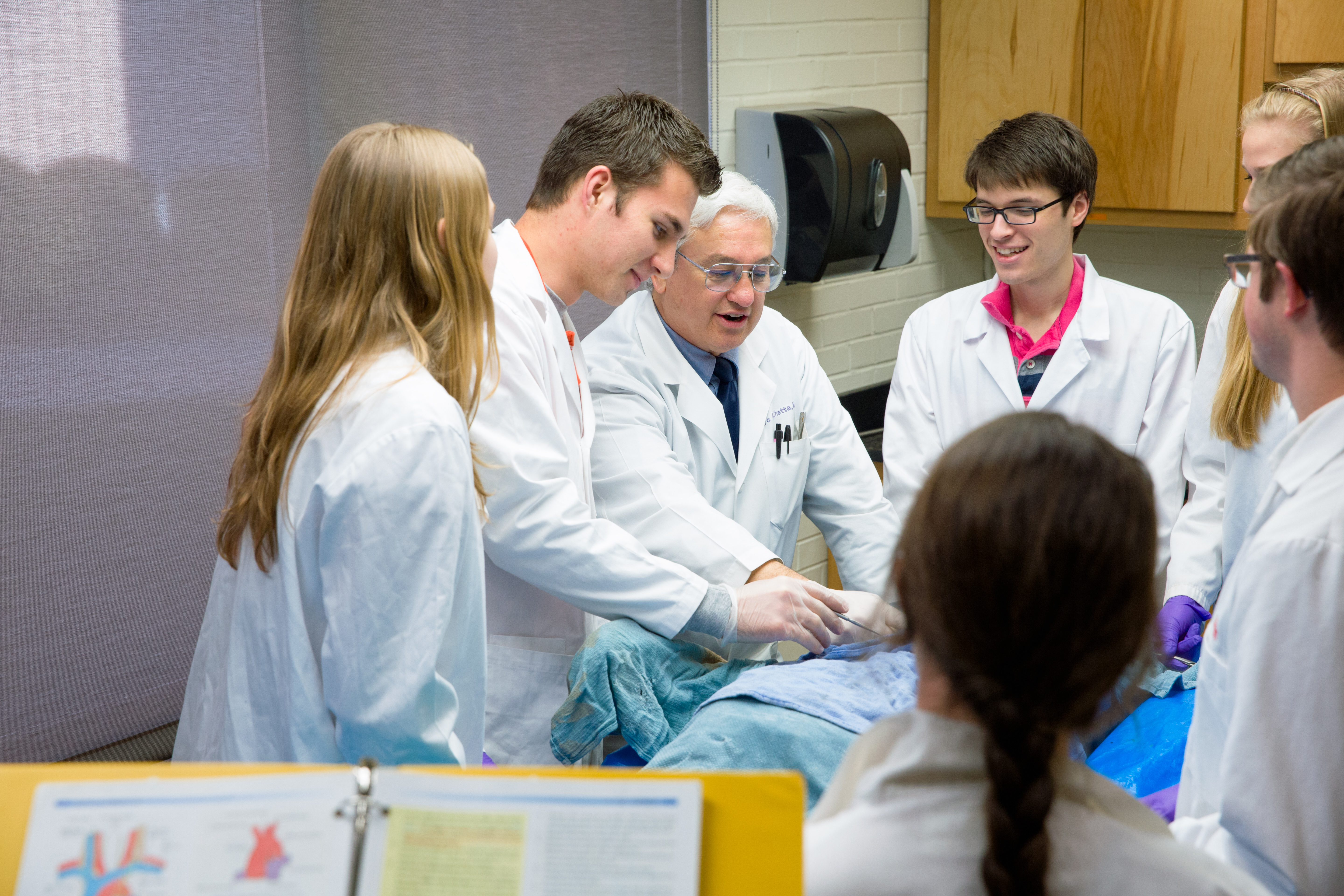 Dr. Marc Chetta works with premed students in the cadaver lab