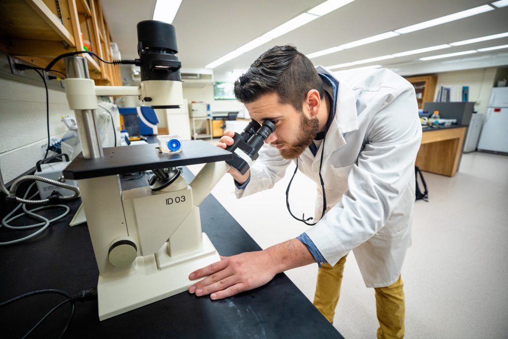 Student in BJU's biology program performs research in the Cancer Research Lab